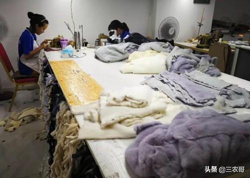 图片[6]-在农村做什么赚钱-适合在农村做的25个项目，发家致富不是难事-优创圈