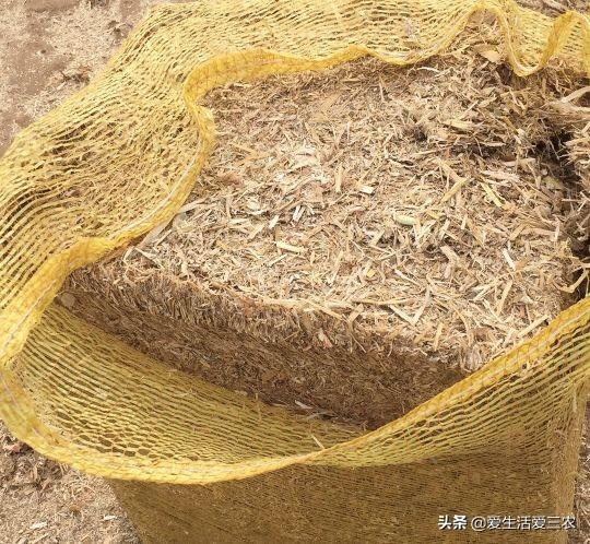 什么项目可以赚钱_能赚钱项目_赚钱项目在家可以赚钱