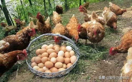 赚钱项目在家可以赚钱_能赚钱项目_什么项目可以赚钱