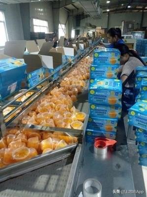 开什么工厂赚钱-工厂打工也能轻松赚钱，月薪8000起还不累-优创圈