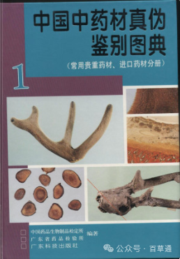 农村种植什么最赚钱-种什么药材最赚钱农村(南方种什么药材最赚钱农村)-优创圈
