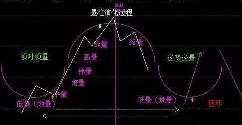 什么股票能赚钱_赚钱股票app_赚钱股票龙头股