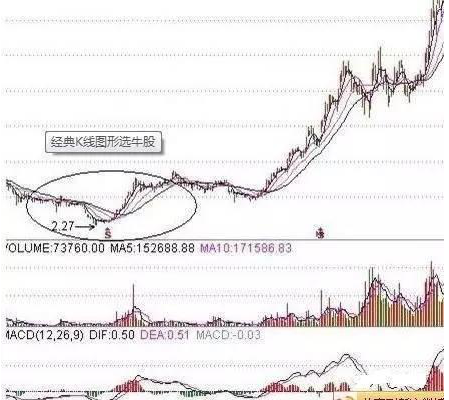 什么股票能赚钱_赚钱股票app_赚钱股票龙头股