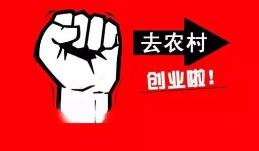 什么方法快速赚钱-没钱没技术的农村人，如何能快速赚到钱，这里有几个不错的方法-优创圈