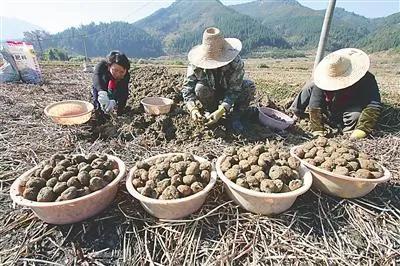 赚钱快速的方法_什么方法快速赚钱_赚钱快速方法是什么