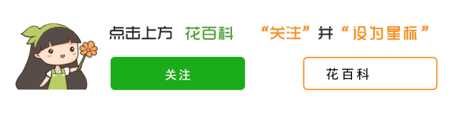 家里养什么赚钱-这2种花，养在家里就赚钱，小崽长不停-优创圈