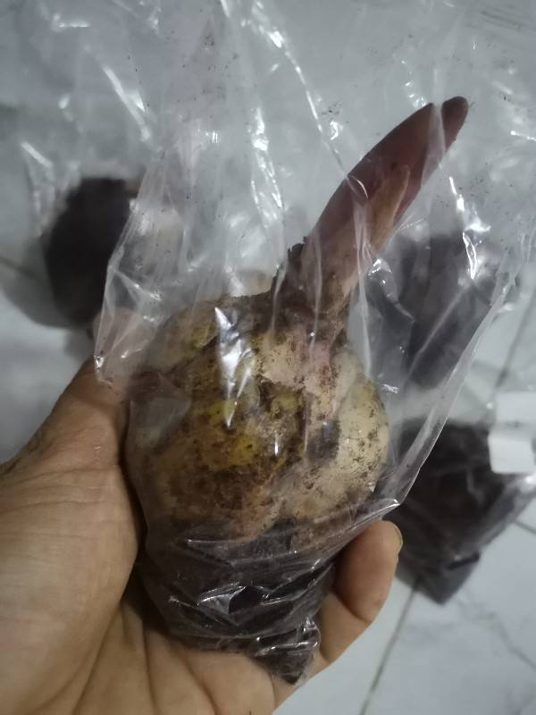 家里养什么赚钱_家养什么赚钱_家里养啥赚钱