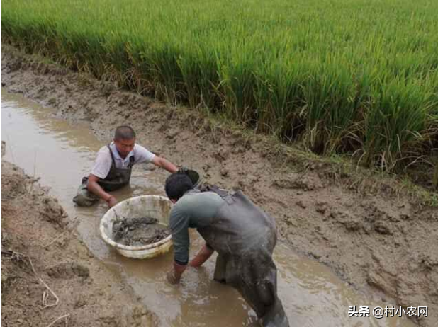 养殖业比较赚钱_养殖什么比较赚钱_养殖赚钱