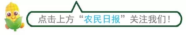 【致富】农业什么最赚钱 今年哪些特种养殖项目被看好-优创圈