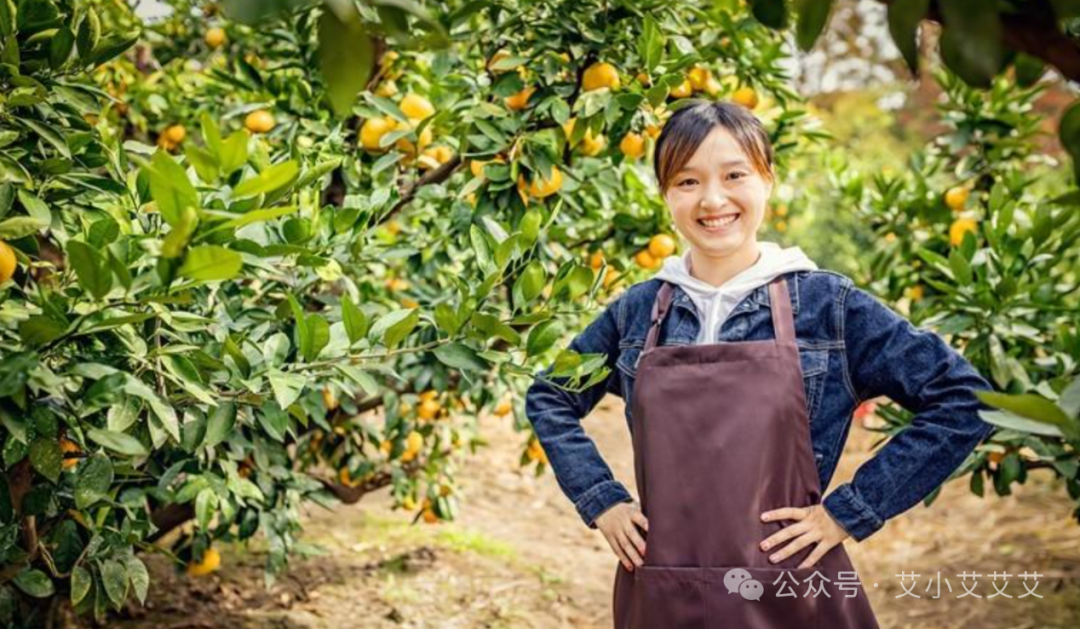 农村能做什么赚钱-2024年的农村，有哪些创业项目，做起来可以轻松赚钱的？-优创圈