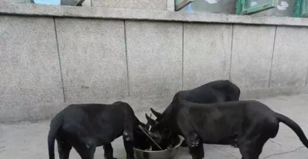养殖业赚钱_现在养殖什么最赚钱_养殖赚钱