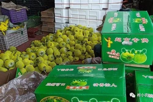 赚钱农村_农村干什么最赚钱_农村干啥赚钱