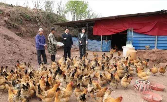农村养殖业什么最赚钱_养殖业赚钱农村有补贴吗_农村养殖赚钱的门路