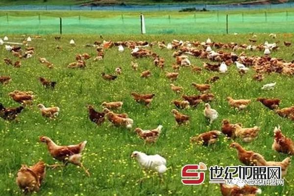 赚钱门路有没有_有什么赚钱的门路_挣钱有门路