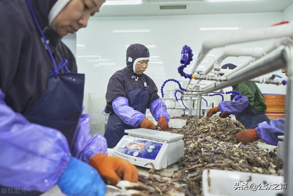 开什么厂最赚钱-浙江：今年的工厂，不要谈赚钱，能活着就不错了-优创圈