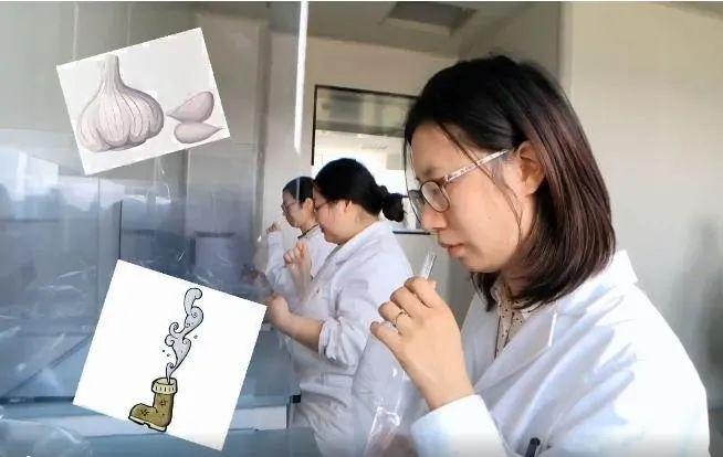 图片[3]-找什么工作最赚钱-这些“奇葩”职业年入几十万，打工人快来了解下-优创圈