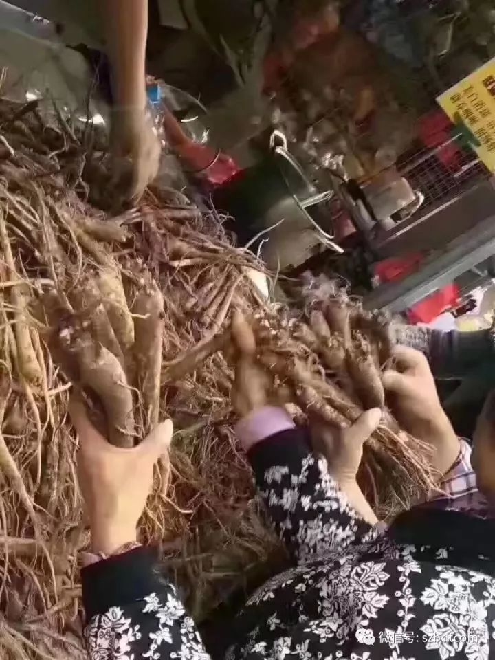 图片[6]-菜市场卖什么最赚钱-乡镇农贸市场卖什么产品赚钱,小区菜市场卖什么好?台湾澳德斯盒装巧克力,东北鲜参批发,南海新鲜鲨鱼干马鲛鱼干批发-优创圈