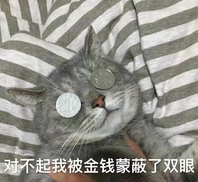 学生党赚钱的秘密_学生党课余时间赚钱_学生党做什么赚钱