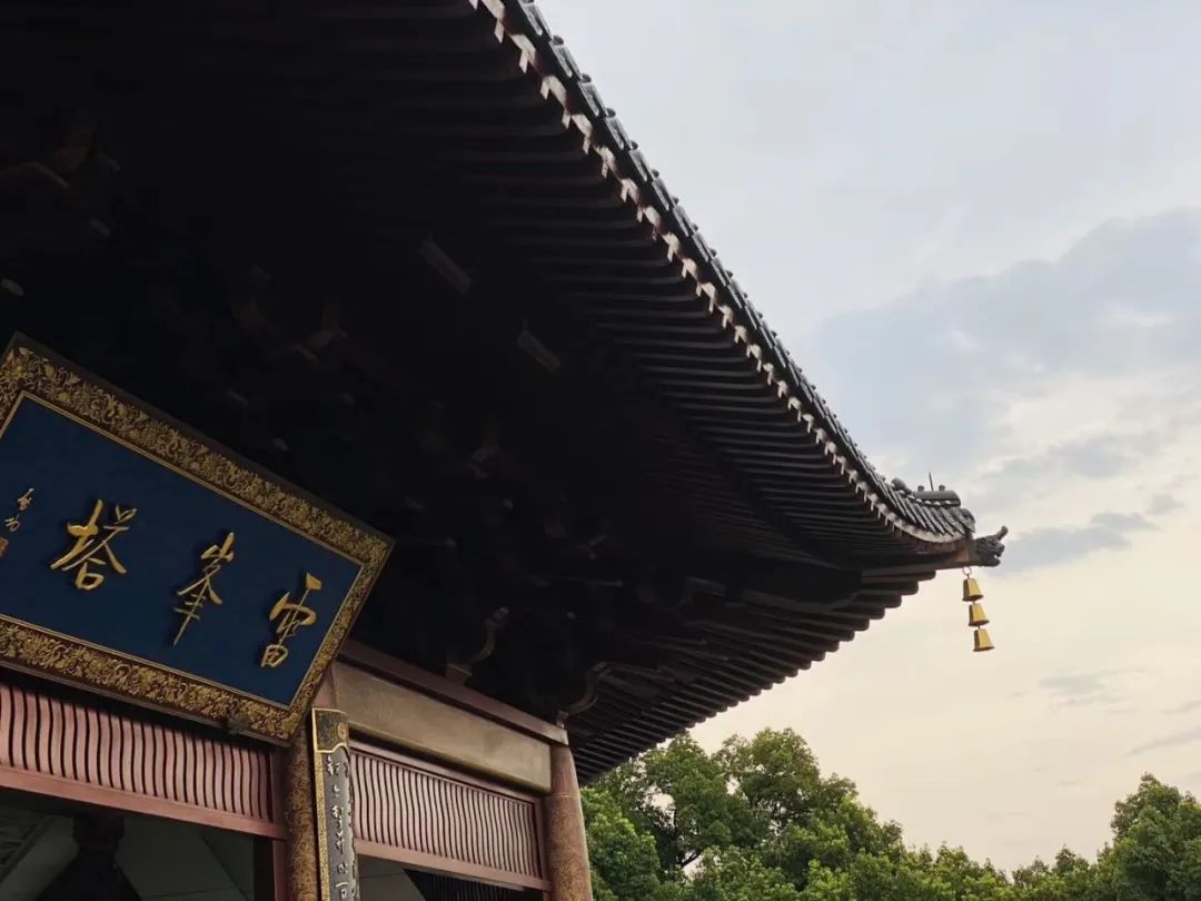 大学什么专业最赚钱_2021最赚钱的大学专业_2020年最赚钱的大学专业