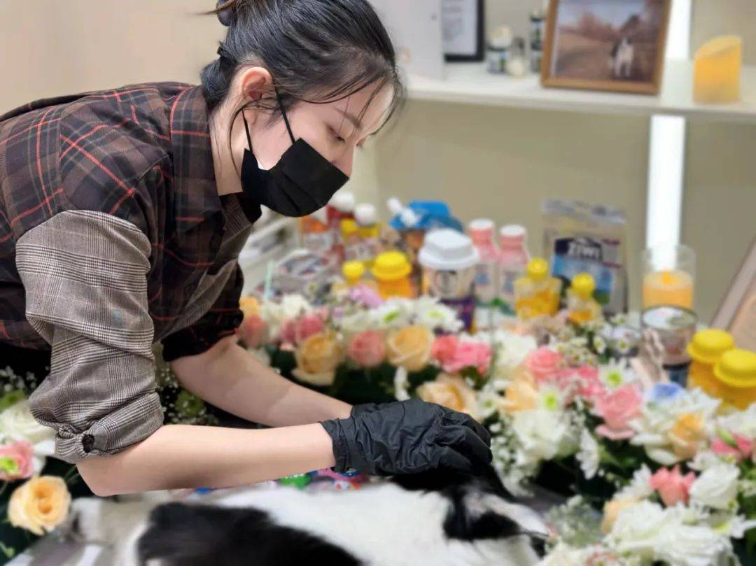 图片[6]-女人做什么赚钱快-对话7位中国女老板：月赚百万，女性轻创业如此热辣滚烫！-优创圈