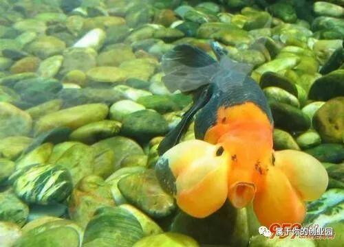 投资少挣钱快_投资少赚钱多的行业_什么投资少赚钱快