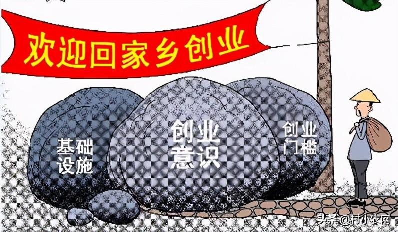 赚钱创业致富_赚钱创业项目_什么创业最赚钱