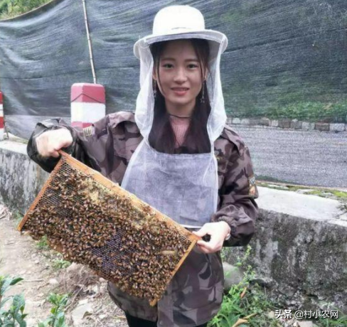 什么创业最赚钱_赚钱创业项目_赚钱创业致富