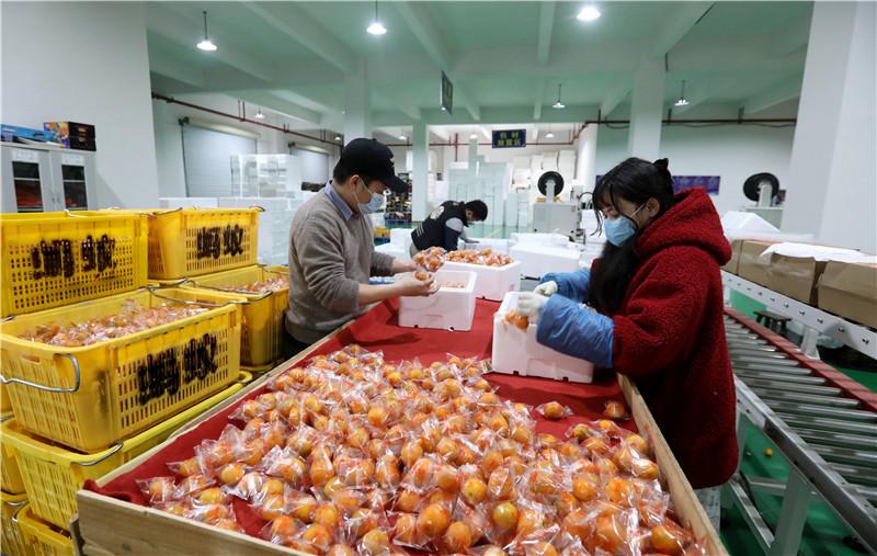 农场赚钱的游戏有哪些_农场种植赚钱_农场种什么赚钱快