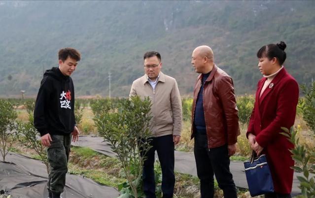 农场种植赚钱_农场种什么赚钱快_农场赚钱的游戏有哪些