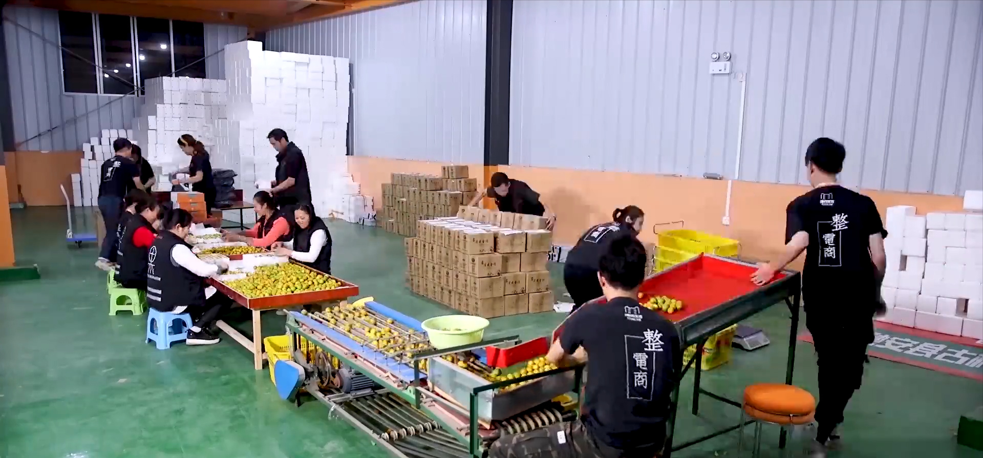 农场赚钱的游戏有哪些_农场种植赚钱_农场种什么赚钱快