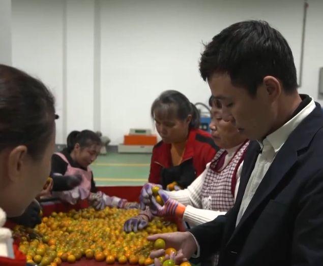 农场种植赚钱_农场种什么赚钱快_农场赚钱的游戏有哪些