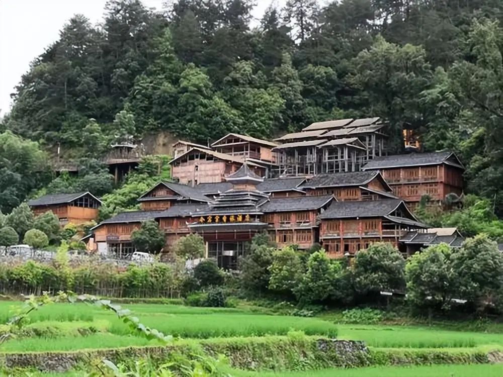 贵州种植赚钱吗现在_2020贵州种植什么赚钱_贵州种植什么最赚钱