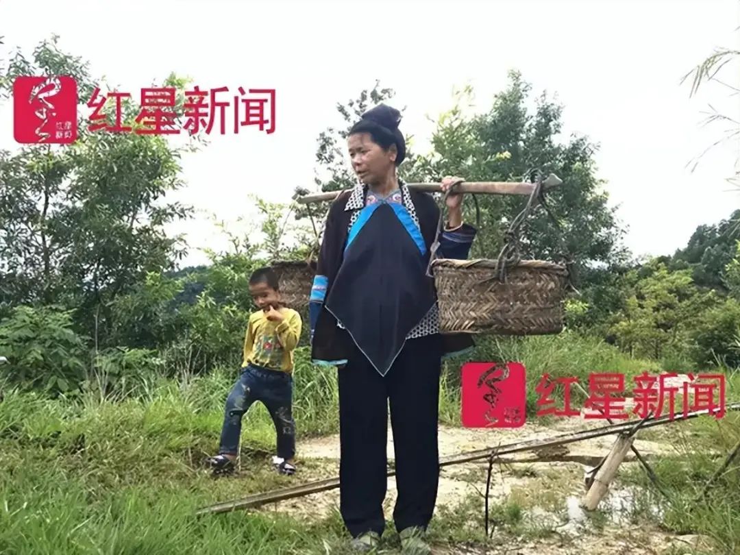 贵州种植赚钱吗现在_贵州种植什么最赚钱_2020贵州种植什么赚钱