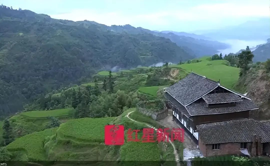 2020贵州种植什么赚钱_贵州种植什么最赚钱_贵州种植赚钱吗现在