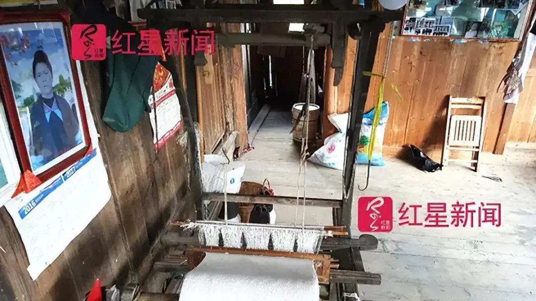 贵州种植赚钱吗现在_贵州种植什么最赚钱_2020贵州种植什么赚钱