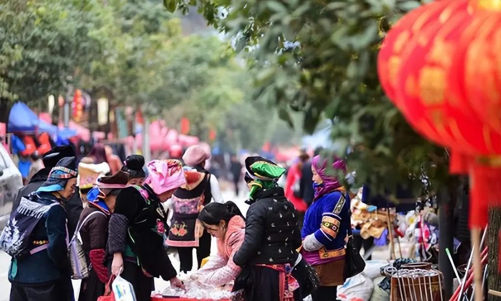2020贵州种植什么赚钱_贵州种植赚钱吗现在_贵州种植什么最赚钱