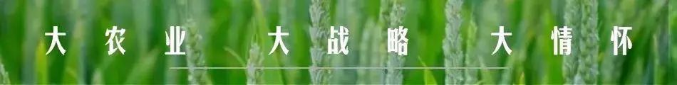 农业为什么不赚钱-中国农业为啥不强势？农民为啥不赚钱？未来的路在哪里？-优创圈