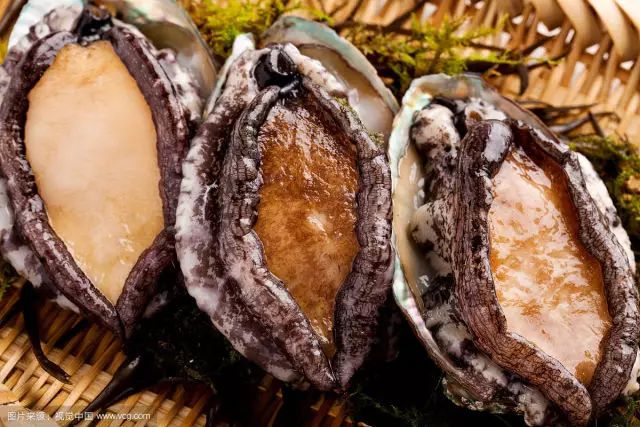餐饮什么赚钱_餐饮赚钱的秘密_2024年做什么餐饮赚钱