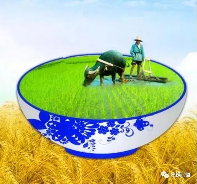 农业为什么不赚钱-中国农业为何不赚钱？-优创圈