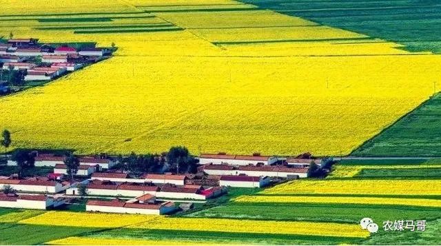 农业赚钱好项目有哪些_农业为什么不赚钱_农业赚钱项目