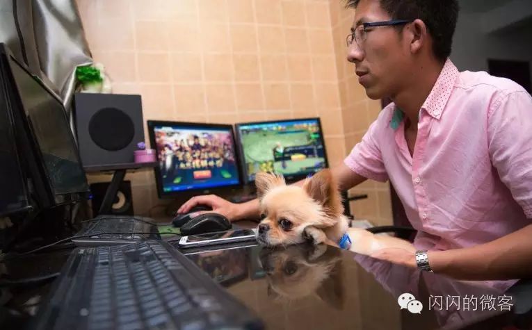 图片[2]-电脑什么游戏可以赚钱-中年男子游戏代练撑起全家 操控19台电脑赚钱辛苦-优创圈