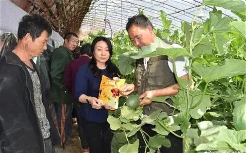 做什么投资赚钱-当前，普通人想创业，选择什么项目钱好赚、投资小、风险低？-优创圈