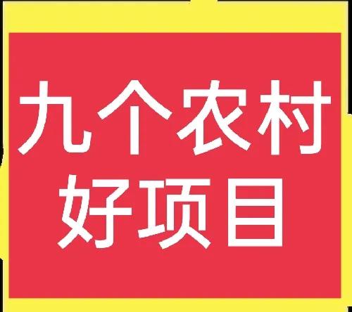 在乡镇开什么店赚钱-九个农村乡镇好项目，建议收藏-优创圈