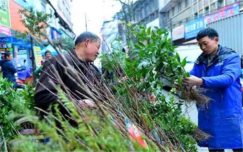 面包车做什么生意赚钱_面包车做小生意的路子_开面包车做生意项目