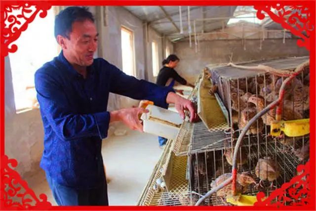 农村养殖赚钱的门路_养殖赚钱农村比较多吗_农村养殖什么比较赚钱