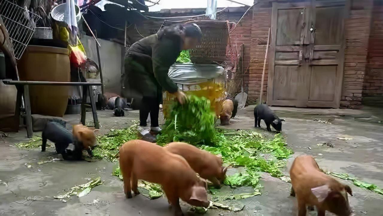 美食博主靠什么赚钱_美食博主靠什么盈利_美食博主赚多少钱