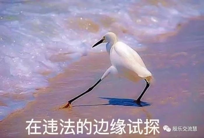 赚钱行业是什么意思_鲜为人知的赚钱行业_赚钱的行业知乎