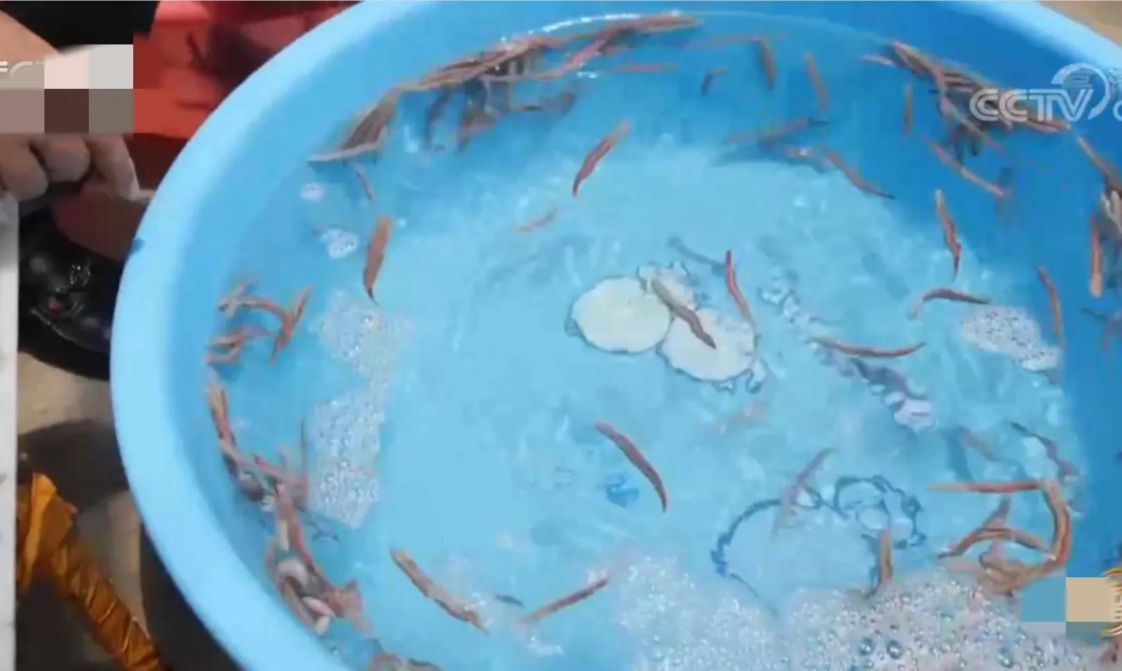 海边做什么买卖最赚钱_海边挣钱_在海边卖什么赚钱