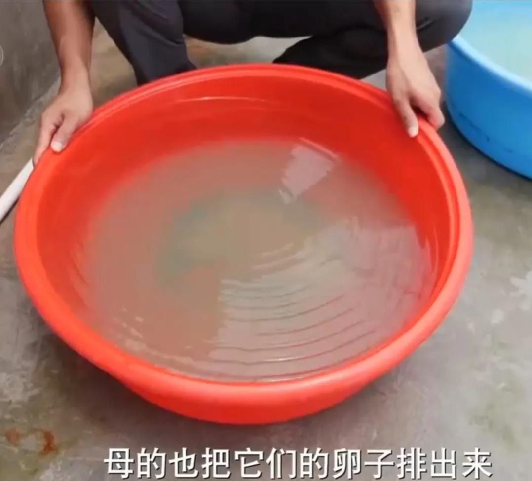 在海边卖什么赚钱_海边做什么买卖最赚钱_海边挣钱