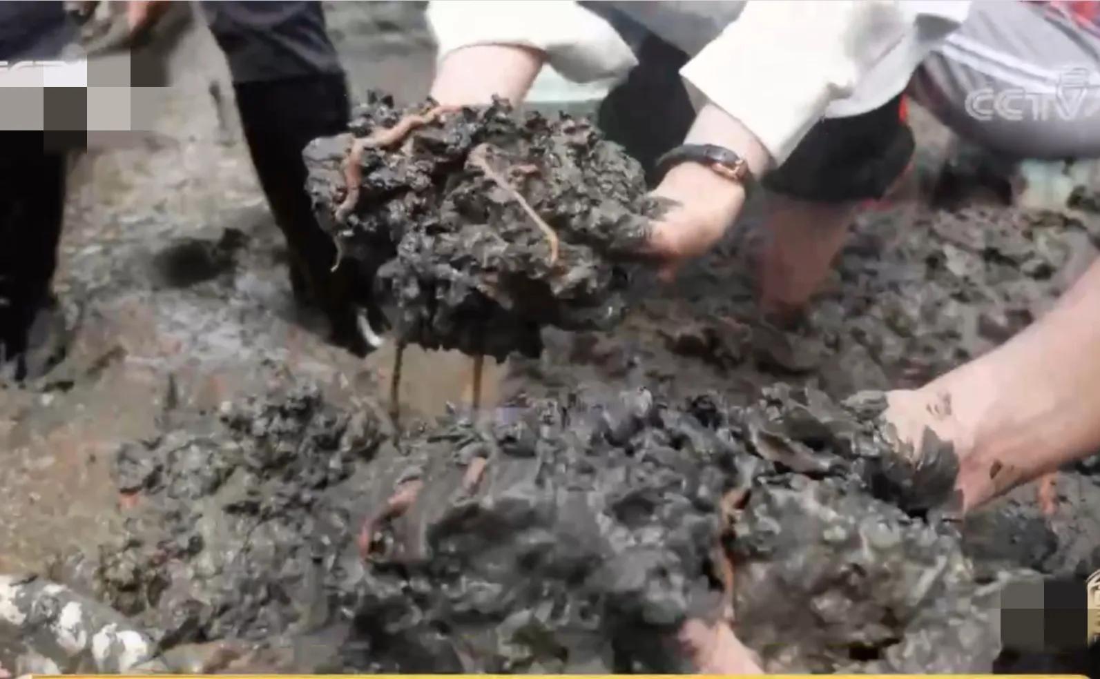海边挣钱_在海边卖什么赚钱_海边做什么买卖最赚钱